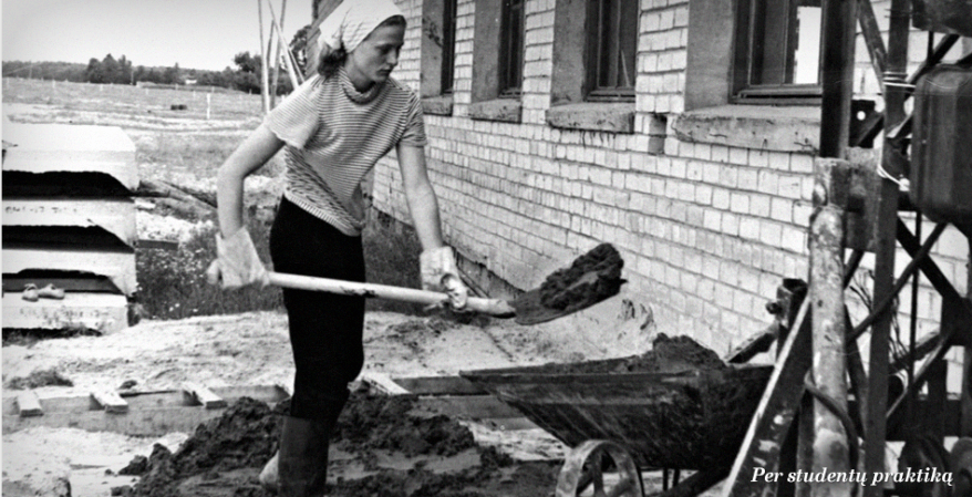 dgrybauskaite-studiju-metais-530c9613e975c