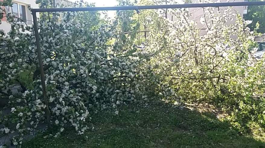 received_762171870981320